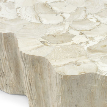 Picture of CAMILLA FOSSILIZED CLAM TABLE