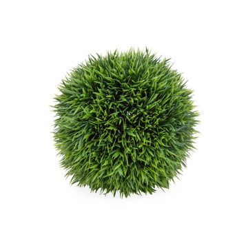 Picture of SPIKE GRASS BALL, 7