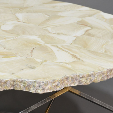 Picture of LOREN FOSSIL CLAM COFFEE TABLE