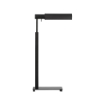 Picture of LEONARD SMALL FLOOR LAMP, AI